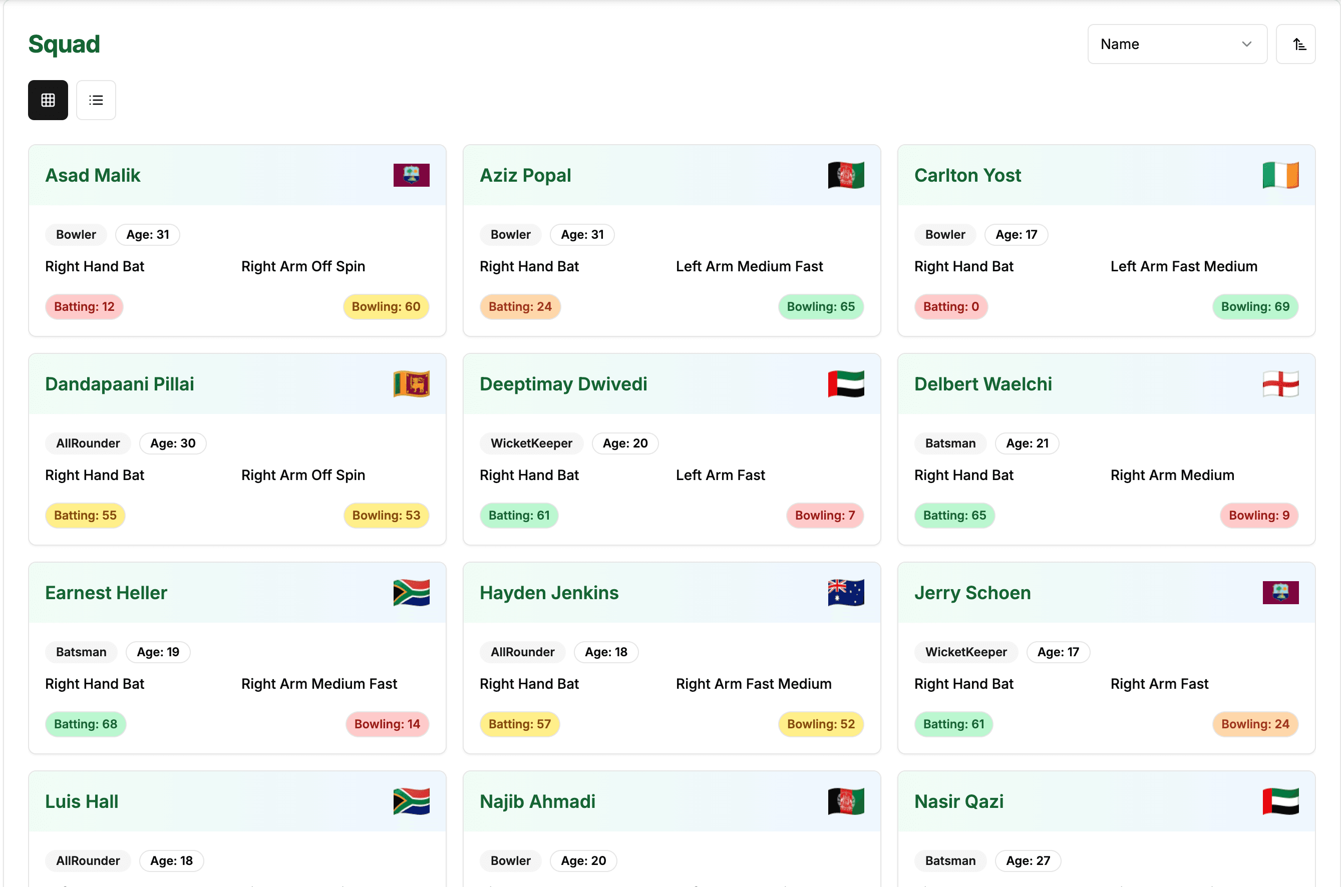 Cricket Manager game interface 2